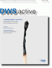dws active